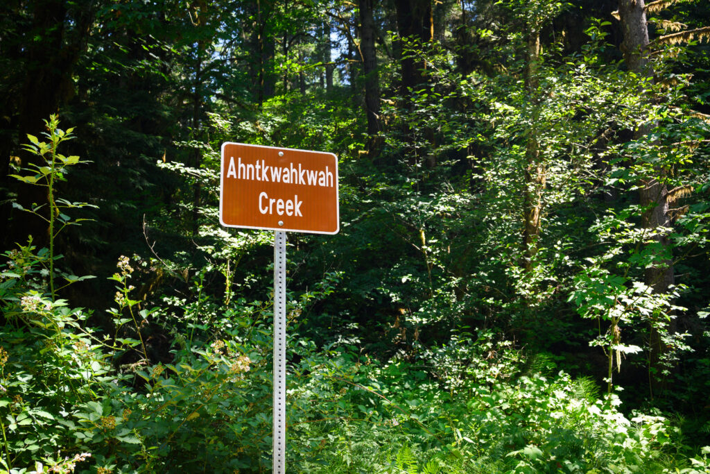 A sign in a forest reads "Ahntkwahkwah Creek"